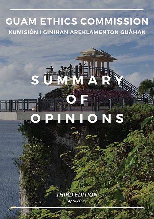 Summary of Opinions Third Edition preview image